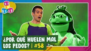 58. ¿Por qué huelen mal los pedos? - Colorico - Temporada 2