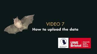 Video 7: Uploading your data