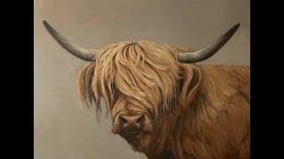 Painting a portrait of a highland cow in acrylic, come paint with me!