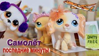 LPS САМОЛЁТ последние минуты жизни / littlest pet shop