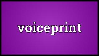 Voiceprint Meaning