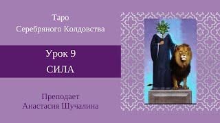 Аркан Сила. Обучение по колоде Таро Серебряного колдовства. Анастасия Шучалина