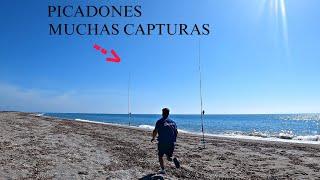 PICADAS DE INFARTO, NUEVA JORNADA BUSCANDO LA DORADA, SURFCASTING GRANADA