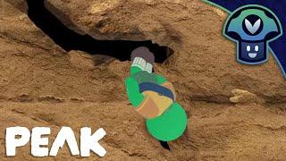 Vinny & Friends - PEAK