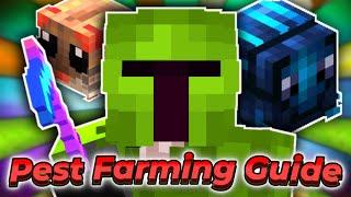 How To Pest Farm!! | Hypixel SkyBlock Guide