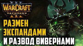 РАЗМЕН ЭКСПАНДАМИ И РАЗВОД ВИВЕРНАМИ: Warcraft 3 Reforged