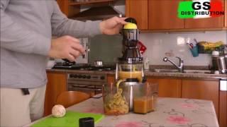 ESTRATTORE DI SUCCO PER FRUTTA E VERDURA 300W SLOW JUICER PROFESSIONALE TT-SJ5