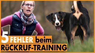 Hund kommt nicht I 5 häufige Fehler beim Rückruftraining I Das solltest du unbedingt vermeiden