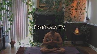 30min Yoga | Hatha | Strength & Flexibility w/ Stephen Beitler