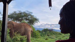 Travel with Eva Mtalii is live