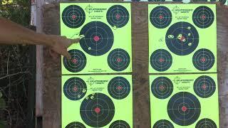 Air Venturi avenger/umarex gauntlet 103 yards. Air Arms 25.4 grn