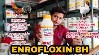 ENROFLOXIN BH | Use ! ఎన్రో ఫ్లాక్ బి హెచ్ వాడుక మరియు ఉపయోగాలు