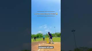 leather cricket vs tennis cricket how to play see difference