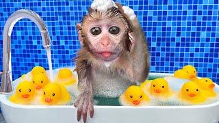 Baby Monkey Chu Chu Plays Water Park With Puppies And Eats Ice Cream So Yummy