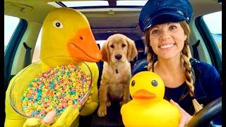 Rubber Ducky Surprises Puppy & Police With Car Ride Chase!