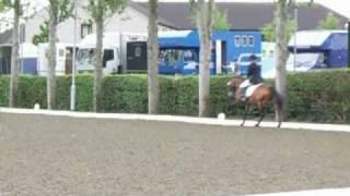 Millfield - Novice - day II - 64,9%