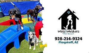 Wags And Whiskers Pet Resort