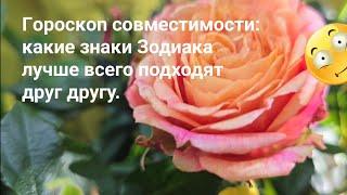 Гopocкon совместимости: какие знаки Зодиака лучше всего подходят друг другу. / Астрология Эзотерика