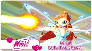 winx club - 3x21 enchantix transformation multilanguage (22 versions)