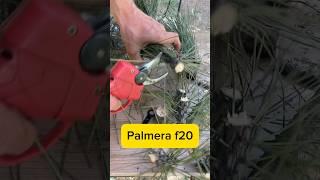 В ДВА РАЗА ДЕШЕВЛЕ! АНАЛОГ Электро секатор palmera f20 14,4в 2ah Bosch pro pruner 12в 2ah