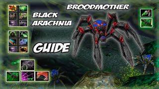 Broodmother Black Arachnia Guide | Снести хг за 10 минут? Легко.