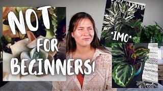 "Beginner Plants" Not Actually Great for Beginners! | Difficult Beginner Houseplants!