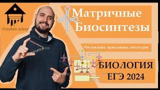 Матричные БИОСИНТЕЗЫ - Репликация, Транскрипция, Трансляция ДЛЯ ЕГЭ 2024 |ЕГЭ БИОЛОГИЯ|Freedom|