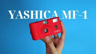 Yashica mf-1: How to Use + Sample Photos