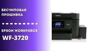 Бесчиповая прошивка Epson Workforce WF-3720 | Видеоинструкция