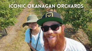 The best day in Vernon, BC CANADA | Exploring the Okanagan Valley