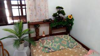 Artificial Plants Jungle Garden in a Bedroom Project - Part 1