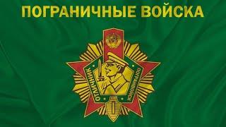 Мелитопольские голуби. За тех, кто с 20:00...
