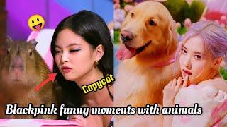 Blackpink funny moments with animals  ||Edit by fatima||