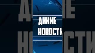 Видеофиксатор у Охотинспектора. Что скажите? Друзья