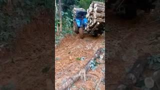 New Holland  Amazing Wood pulling view #newholland #tractor #wood