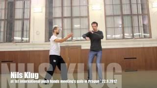Nils Klug  at 1st international push hands meeting's gala in Prague
