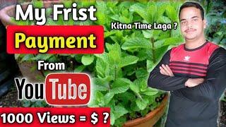 YouTube First Payment | My Frist YouTube Payment Received | My YouTube Earning 