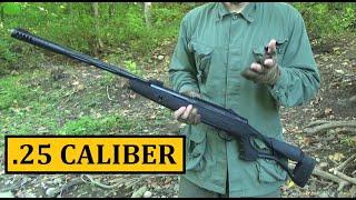 Hatsan AirTact .25 Caliber Pellet Rifle ($125) Review - Budget Friendly Air Gun Series