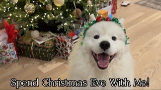 Christmas Eve Vlog with our Samoyed 