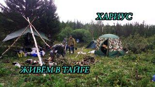 РЫБАЛКА В  ТАЙГЕ. ПРИПОЛЯРНЫЙ УРАЛ. Bushcraft ( # 5/6 )