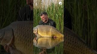  What an amazing trip to Poland's Goslawice Lake!! | Carp Fishing | Big Carp | Fishing In Poland