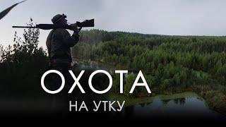 Охота на утку