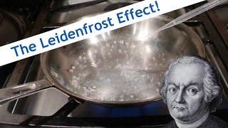 The Leidenfrost Effect!