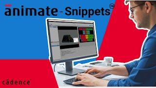 Animate Snippets - Human guided learning for Analog Design