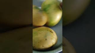 Yami  mangoes