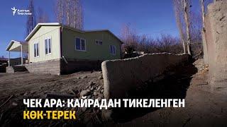 Чек ара: кайрадан тикеленген Көк-Терек