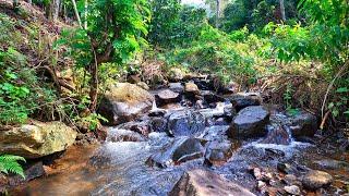 Soothing Water Sounds Flowing Down Over Rocks Help You Healing of Stress