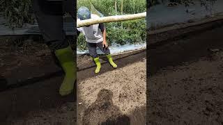 #petani mandiri