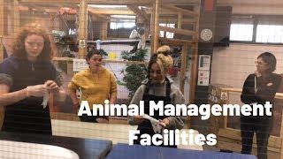 Animal Management Facilities