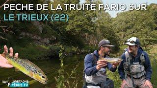 Pêche de la Truite fario sur le Trieux (22)